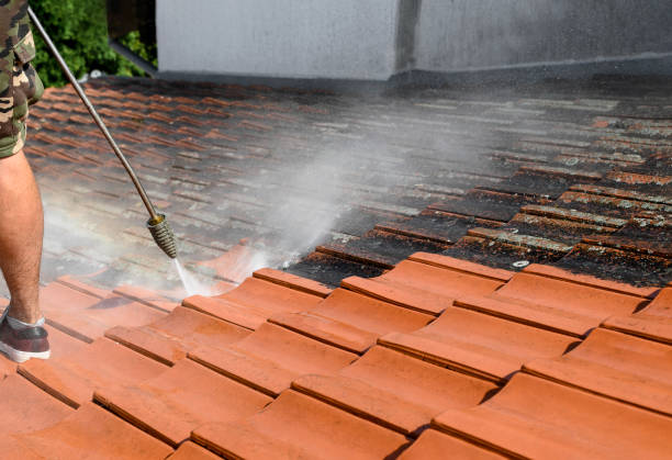 Best Deck Cleaning Services  in Worthington, OH